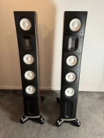 Raidho C3.1 High End Standlautsprecher